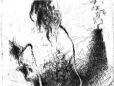 pflanzen-97.jpg
