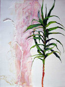 yucca_figur.jpg